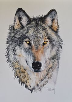 236x335 Wolf Head Wolf, Google And Julie Bell