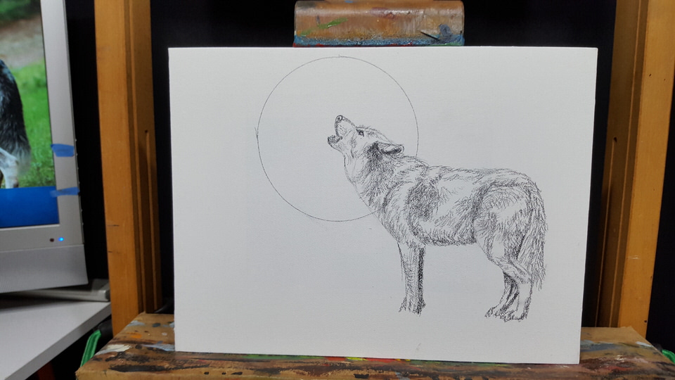 960x540 Wolf Drawing