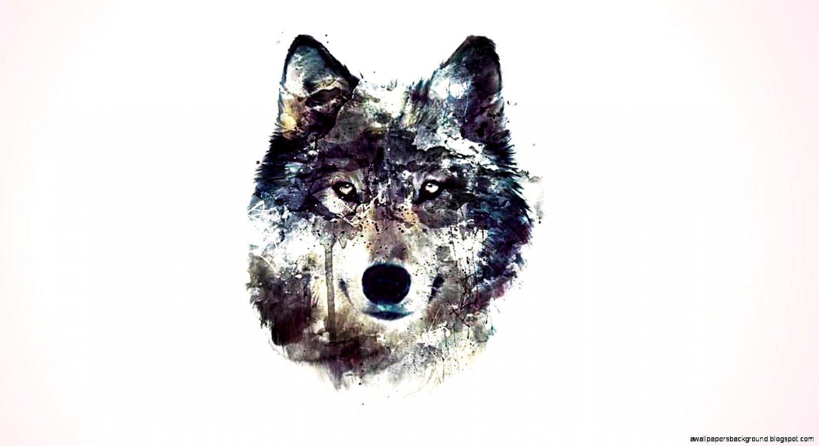 1600x871 3d Wolf Tumblr Wallpapers Background