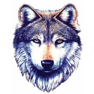 300x300 Wolf Tattoo Wolf Tattoos Tribal Wolf Tattoo