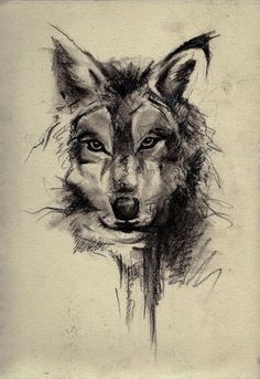 236x343 Wolf Drawings Tumblr Art Wolf, Drawings And Tattoo