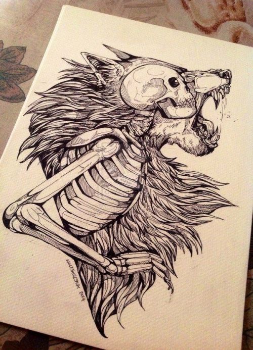 500x693 Wolf Tattoo Sketch Tumblr