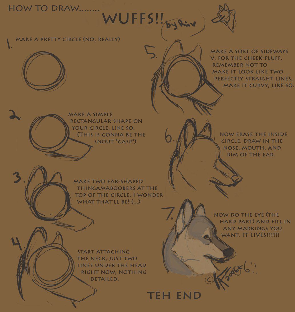 1031x1092 Wolf Head Tutorial By Riverwolf1o413 Wolves Wolves