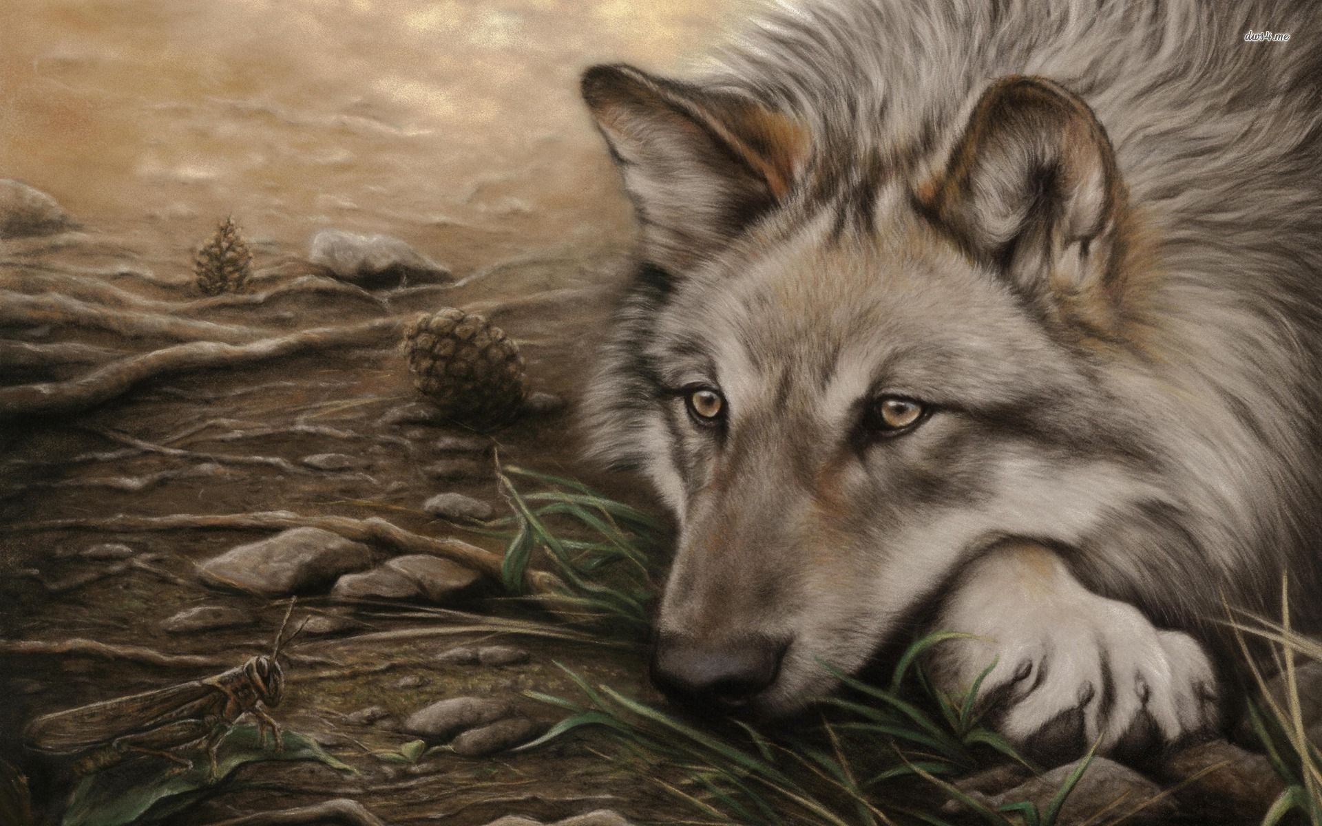 1920x1200 Drawing Of A Wolf Watching Grasshopper