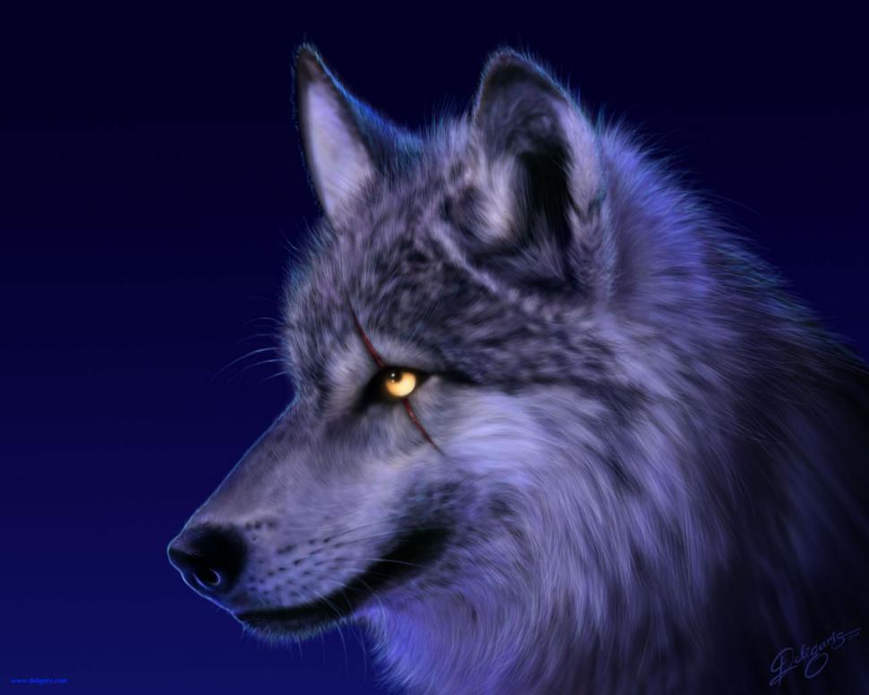 970x776 Wolf Drawing Hd Wallpaper Animals Wallpaper Better