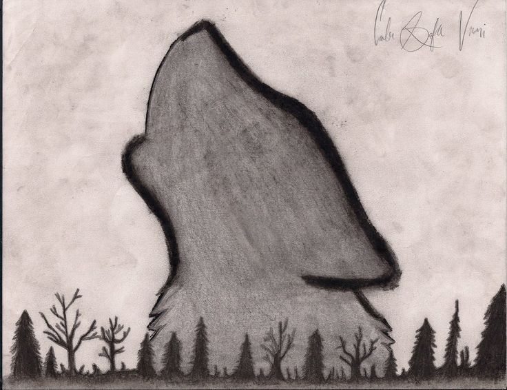 736x566 Resultado De Imagen Para Drawing Easy Dibujos Easy