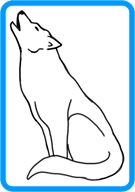 135x192 How To Draw A White Wolf Step 13 How To Draw Wolf