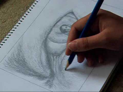 480x360 Eye Of The Wolf