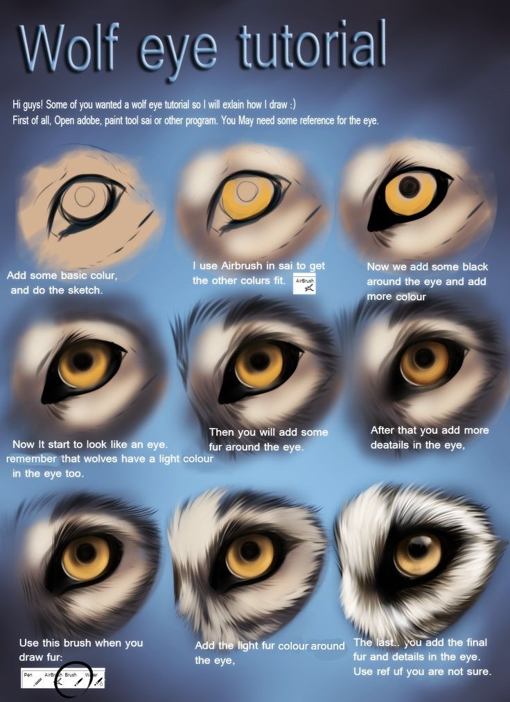 736x1014 Wolf On Wolves, Wolf Eyes And Canine