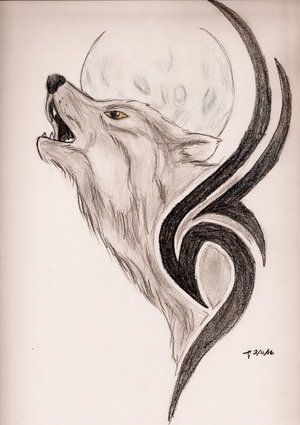 300x425 Wolf Afbeelding Kunst Draw