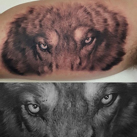 480x480 Empire Tattoo