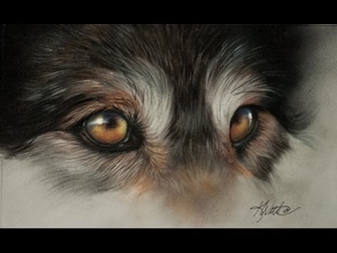 480x360 Kay Witt Wolf Eye Demo In Pastel, Part One
