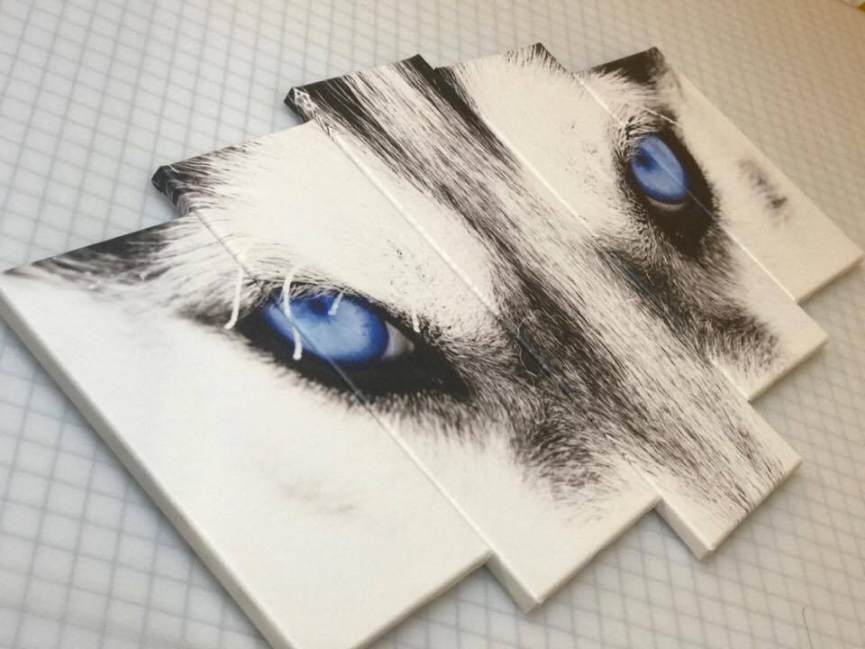 960x720 Wolf Eyes Canvas Set