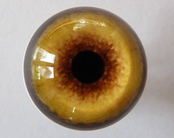 340x270 Wolf Eyes Etsy