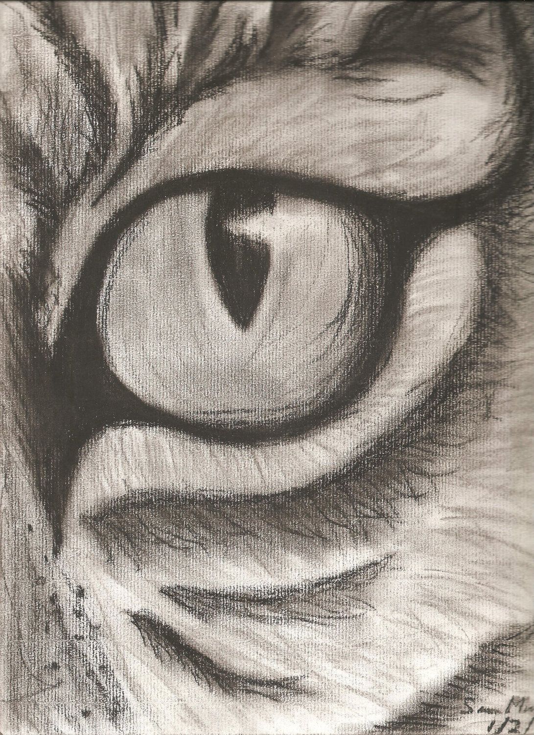 1091x1500 Charcoal Drawing Eye