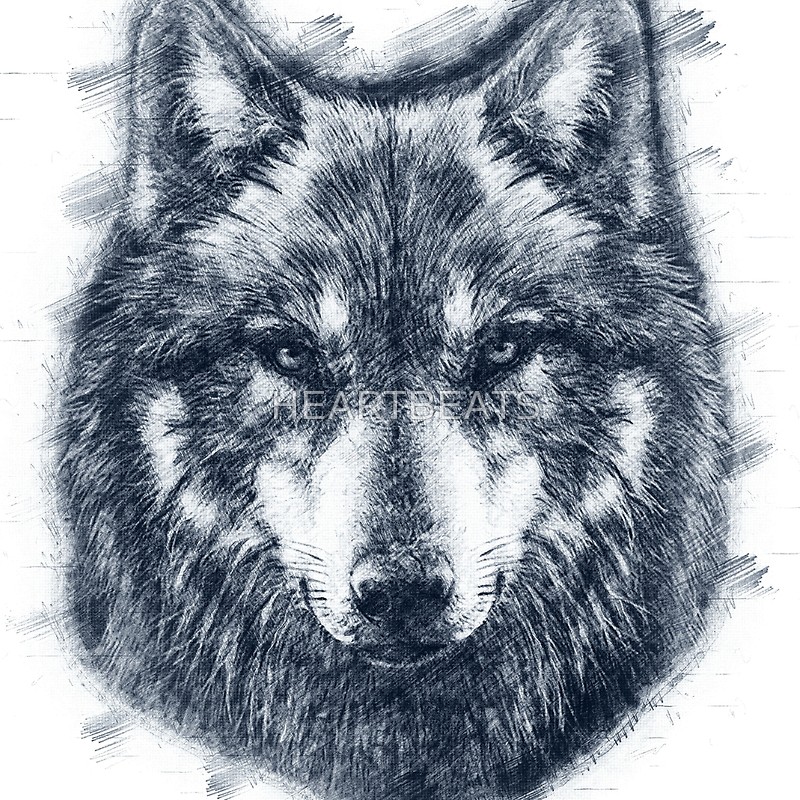 800x800 Wolf Face Drawing Throw Pillows By Heartbeats Redbubble