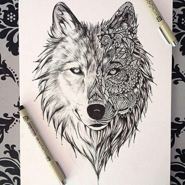 640x640 How To Draw A Wolf's Face