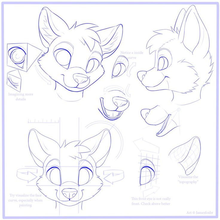 736x736 37 Best Furryanthro Tutorials Images On Drawing