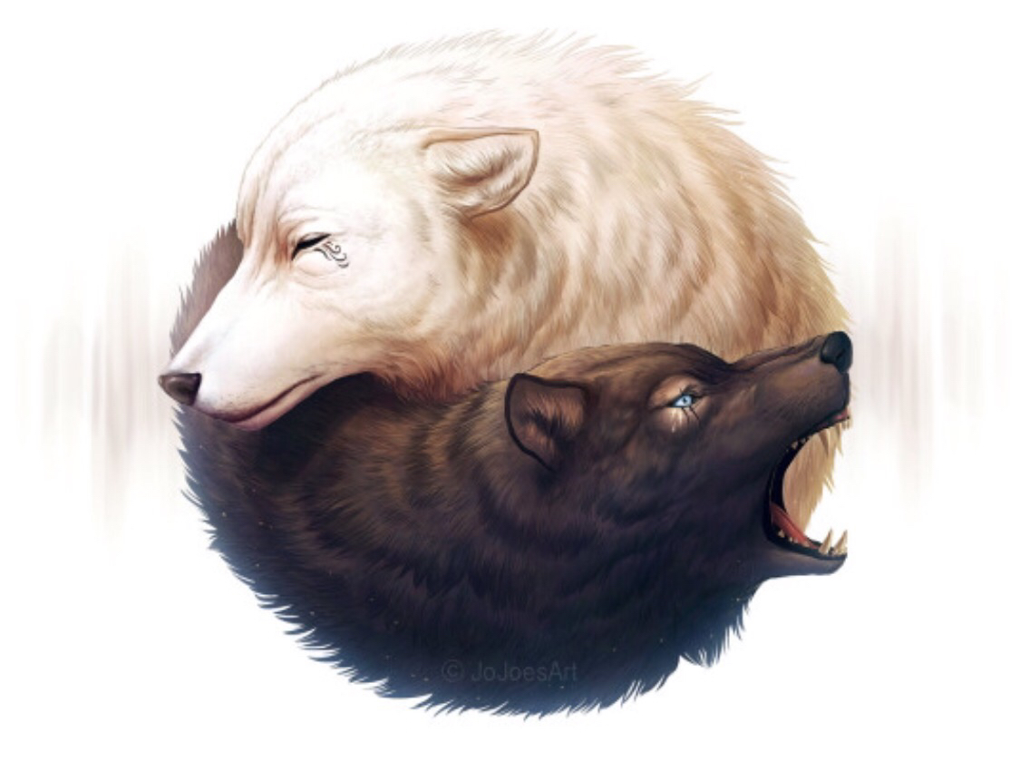 1125x839 Desertrosefor The Love Of Black And White Silentpictures