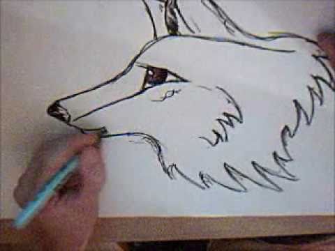 480x360 How To Draw A Wolf Head