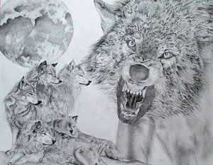 300x233 Wolf Family Drawings Fine Art America