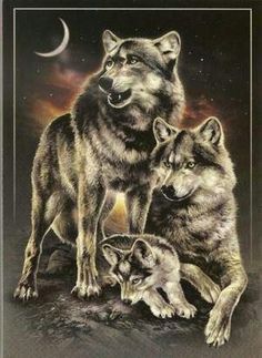 236x323 Wolf Family