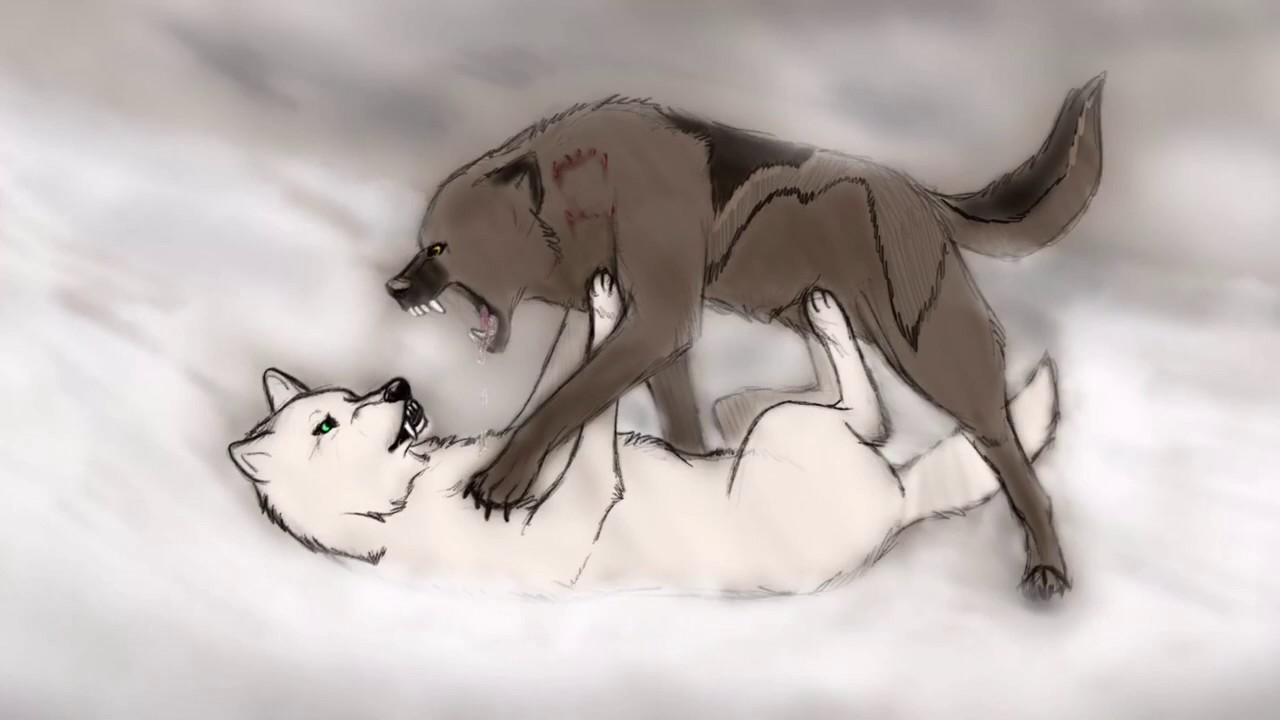 1280x720 Wolf Fight Speedpaint