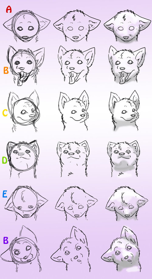 500x917 Wolf Head Animals Creatures Wolf, Draw