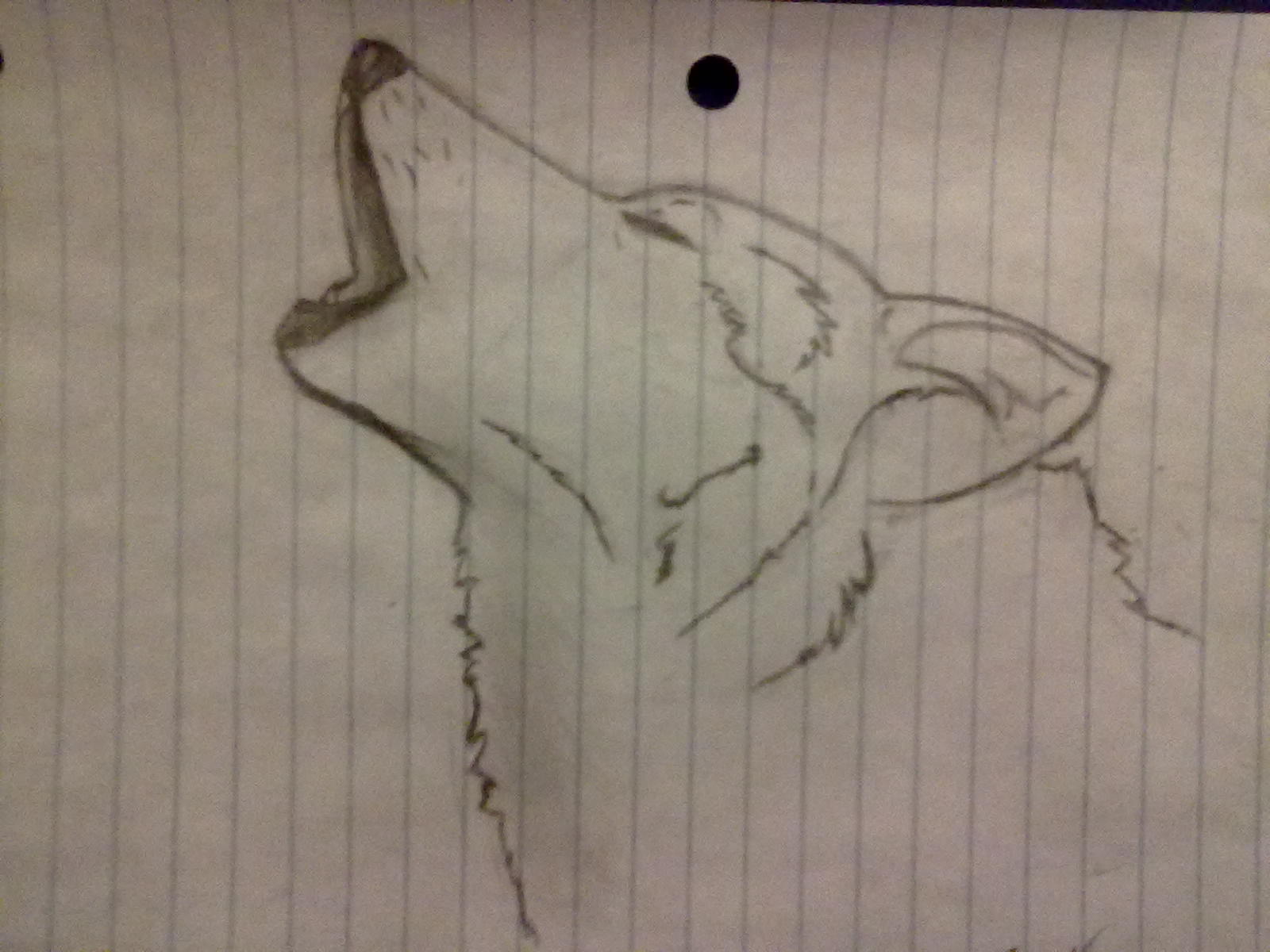 1600x1200 Images For Gt Sad Wolf Howl Drawings Pintrist Drawings