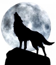 236x276 Wolf Howling At The Moon Painting Wolf Silhouette Moon Stars