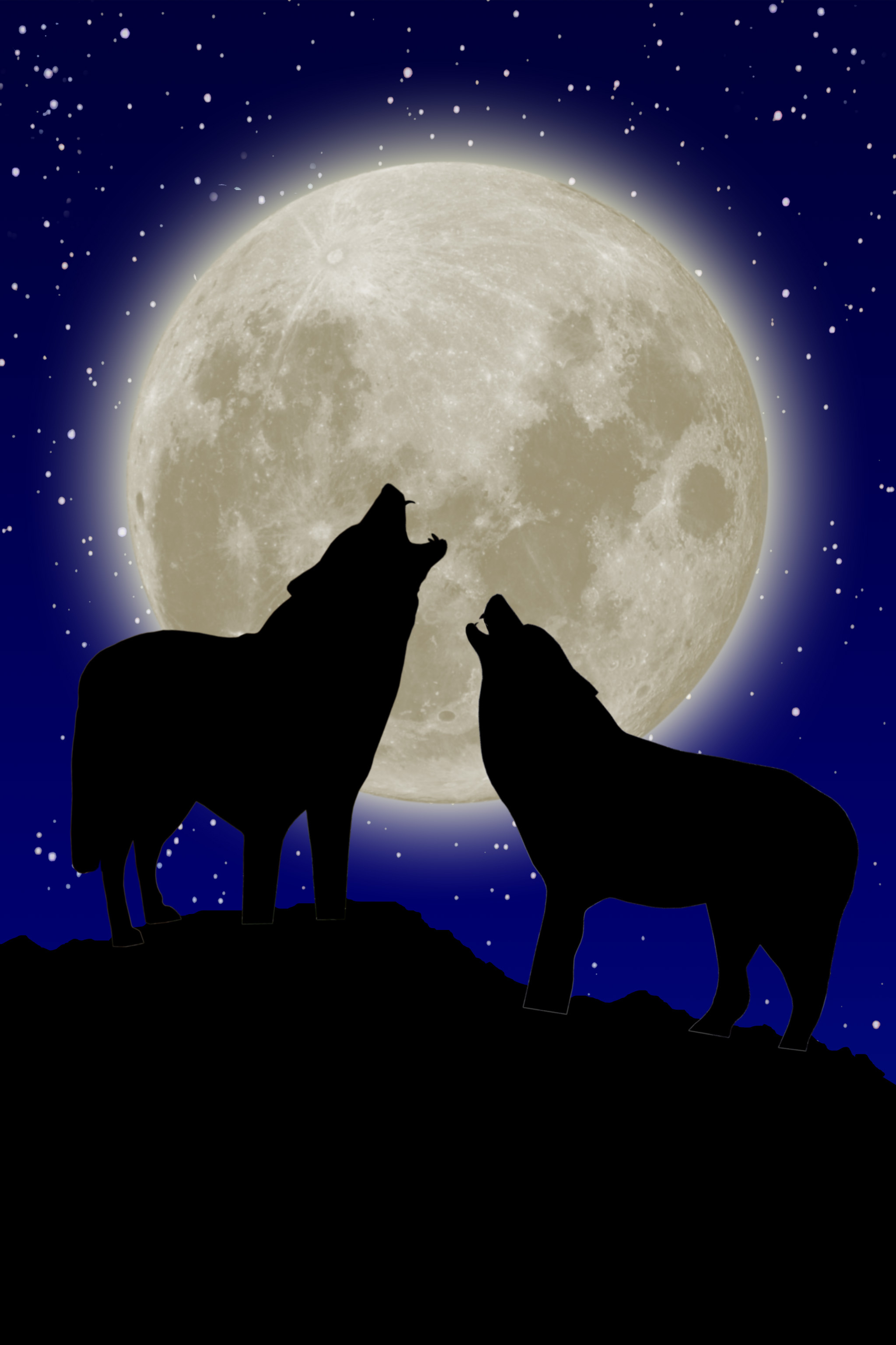 2048x3072 2 Wolves Howling