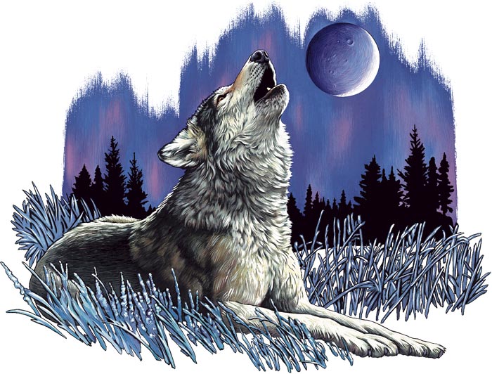 Wolves Howling At The Moon Drawing - Wolf Howling At The Moon Drawing ...