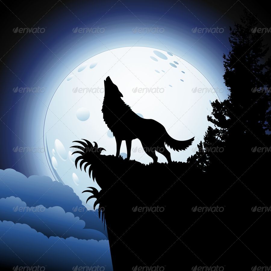 Wolf Howling At Moon Drawing at GetDrawings | Free download