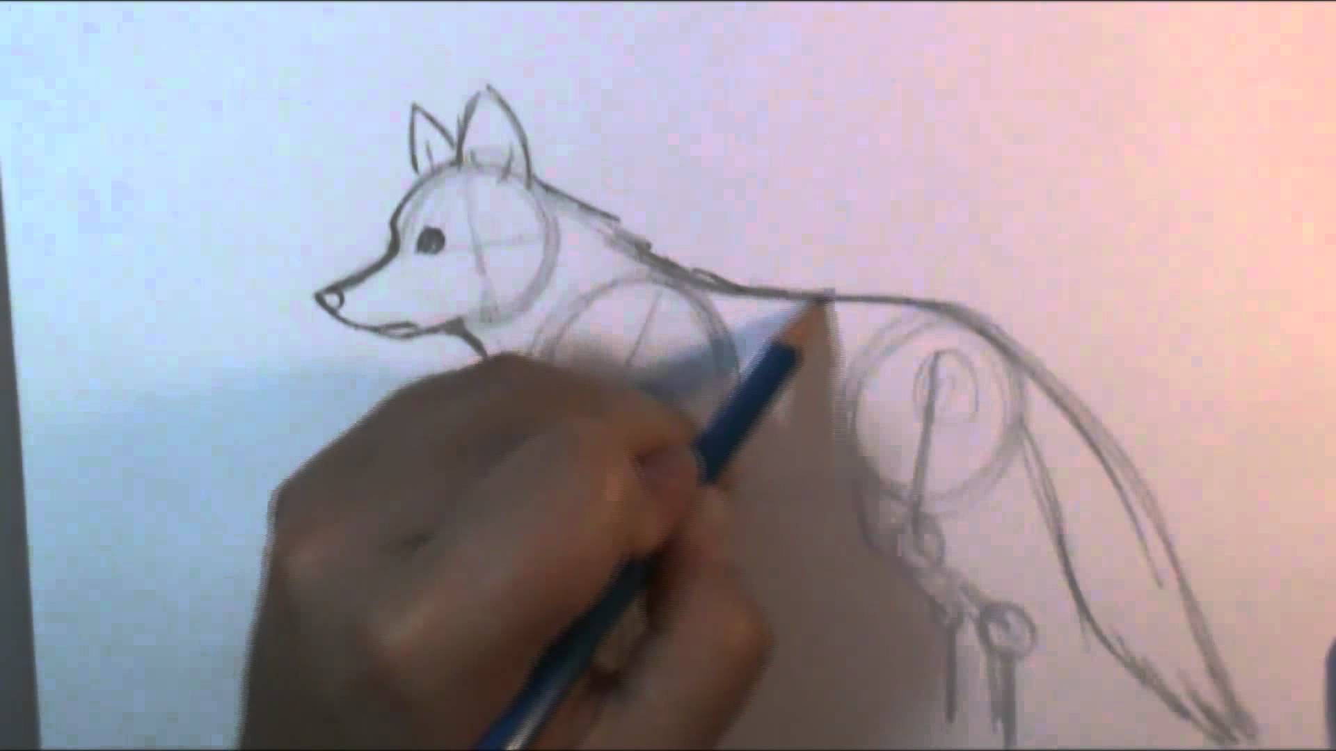 1920x1080 How To Draw A Wolf Body