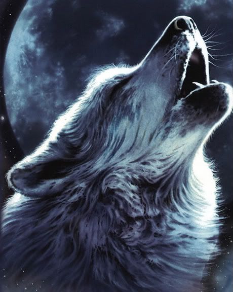 460x576 Wolves Spiritual Http Www Alltotems Com Wolf Totem Symbolism