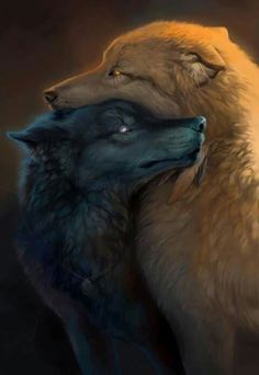 236x342 Pin By Edeltraud Petlusch On Love Is Fantasy