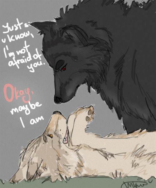 500x604 Stiles Wtf Torakodragon Stiles Whf Wolf Sterek)) This Is