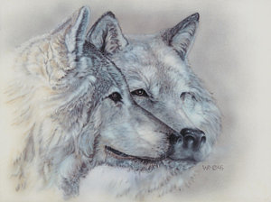 300x224 Wolves Mating Art Fine Art America