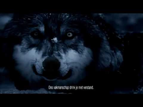 480x360 Three Wolf Moon Video Gallery (Sorted By Favorites) Know Your Meme
