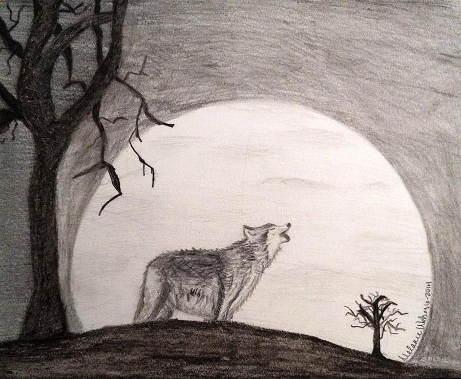 900x740 Wolf Moon Drawing By Melanie Weber