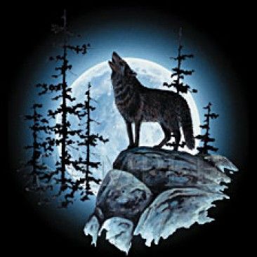 366x366 Wolf Moon T Shirt Wolf Wolf Moon And Wolf