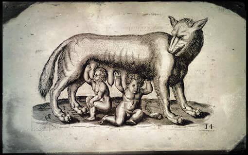 510x319 Wolf Moon Black Phoenix Alchemy Lab