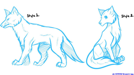 570x320 Tag Wolf Pack Drawing Anime