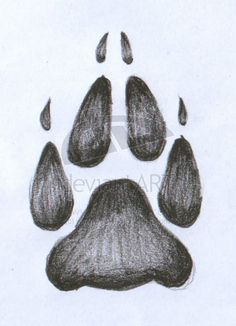 Wolf Paw Drawing at GetDrawings | Free download