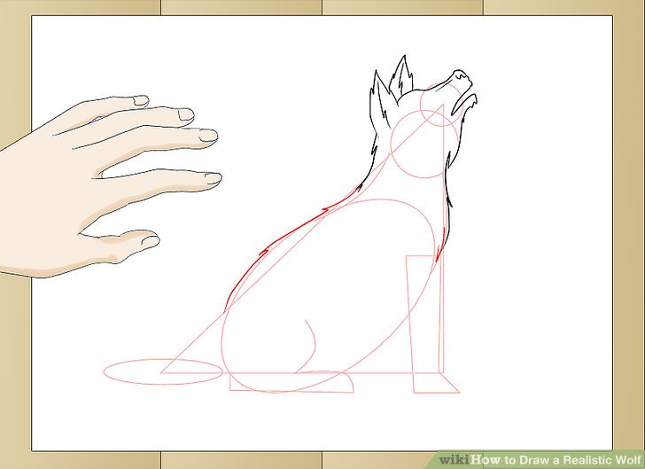 728x529 How To Draw A Realistic Wolf (With Pictures)