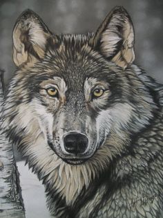 236x314 Paintings Of Wolfs Wolf Portrait Wolf Portraits Football