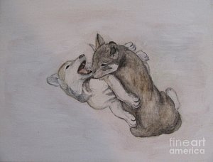 300x228 Wolf Pup Drawings Fine Art America