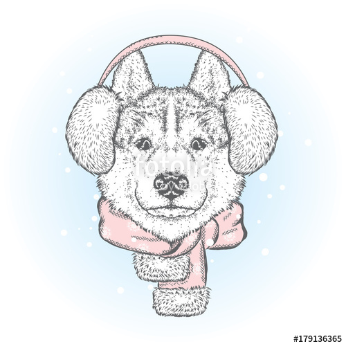 500x500 Beautiful Dog In Winter Headphones And Scarf. Vector Illustration