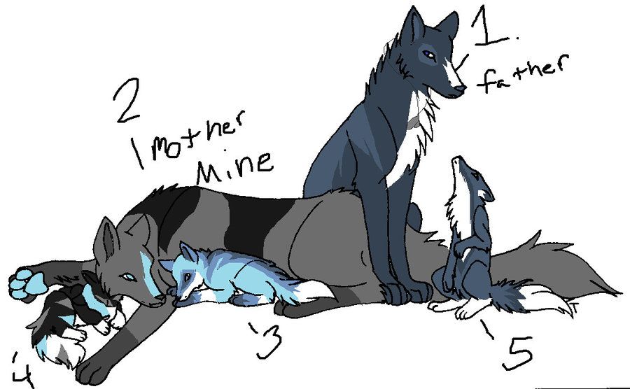 900x556 Wolf Family Adoptables. The Mother And Pup 4 Are Mine Enjoy