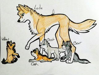 320x243 Wolfpups Drawings On Paigeeworld. Pictures Of Wolfpups